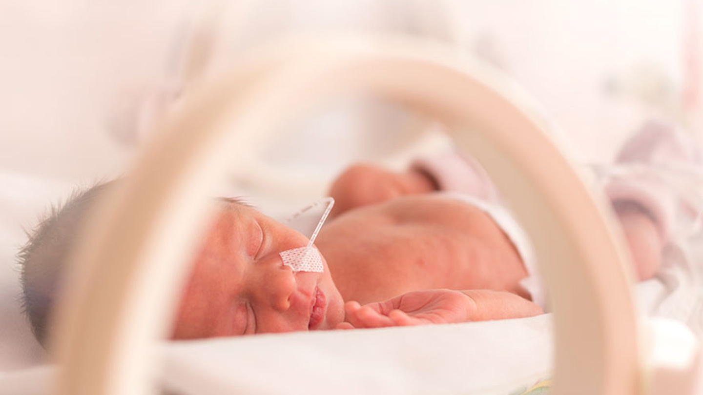 NICU in Tallahassee, FL HCA Florida Capital Hospital