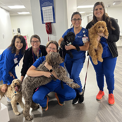 Group of nurses at HCA Houston Healthcare Clear Lake posing with the therapy dogs from A Pawsitive Approach.