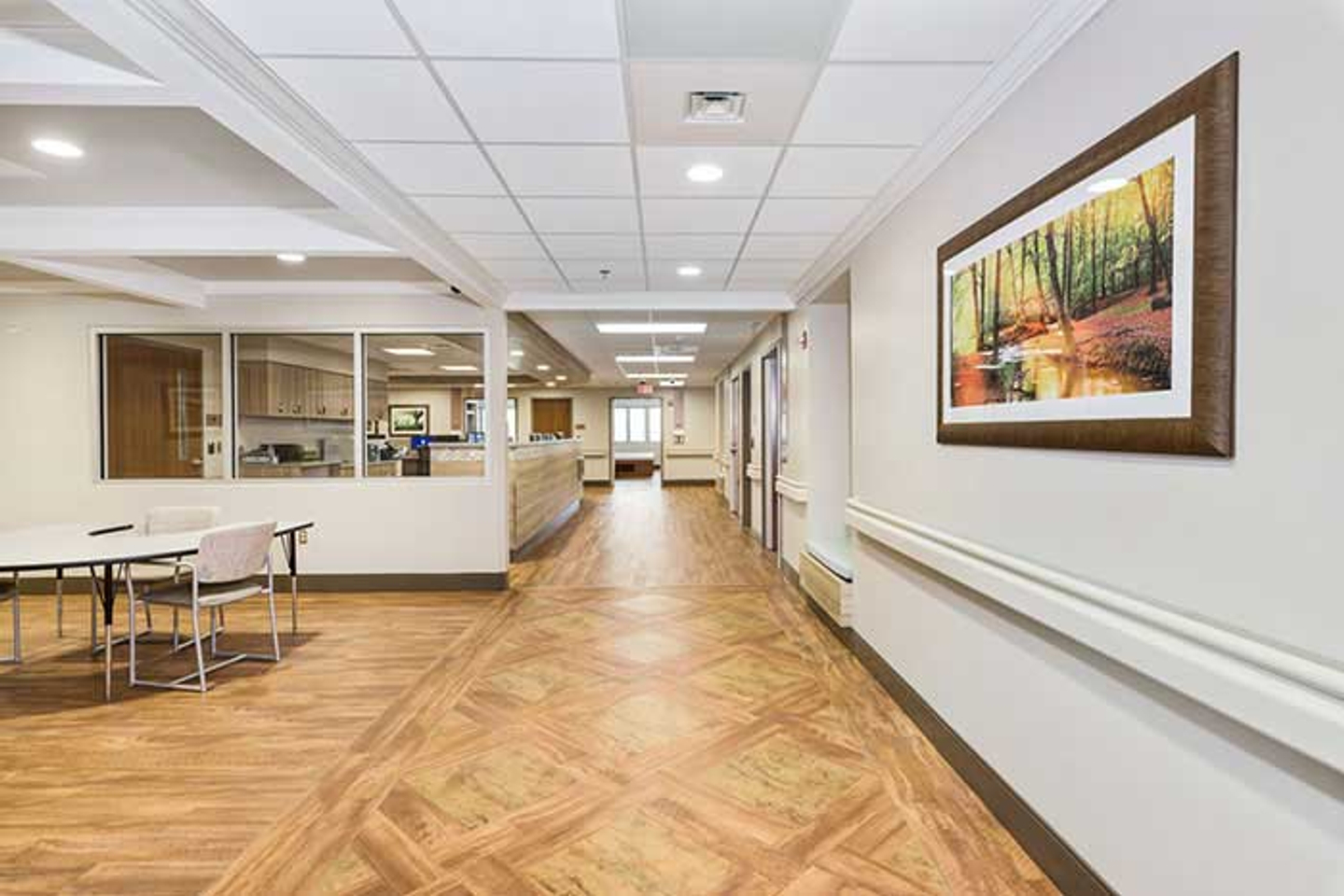 Senior Mental Health Care HCA Florida Trinity Hospital