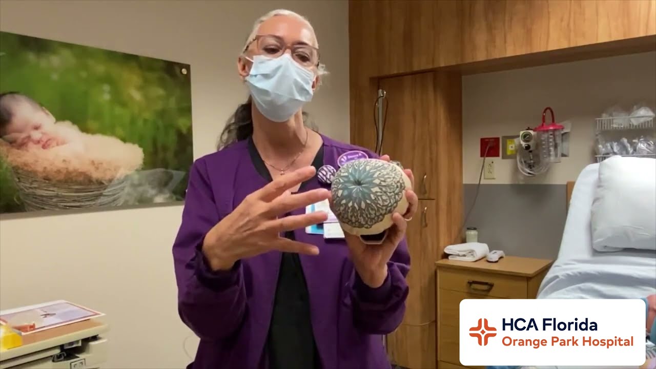 An Orange Park Hospital Lactation Consultant showing how to breastfeed.