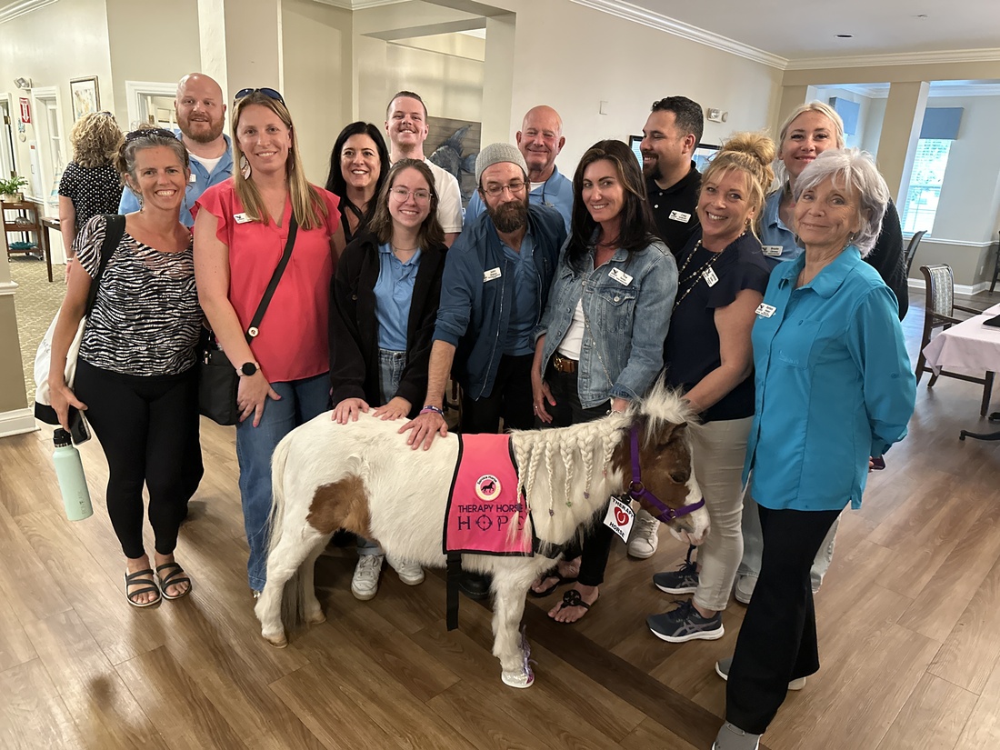 Leadership Englewood 2024 Class poses for a photo with Hope, the miniature therapy horse from Branded Heart Stables.