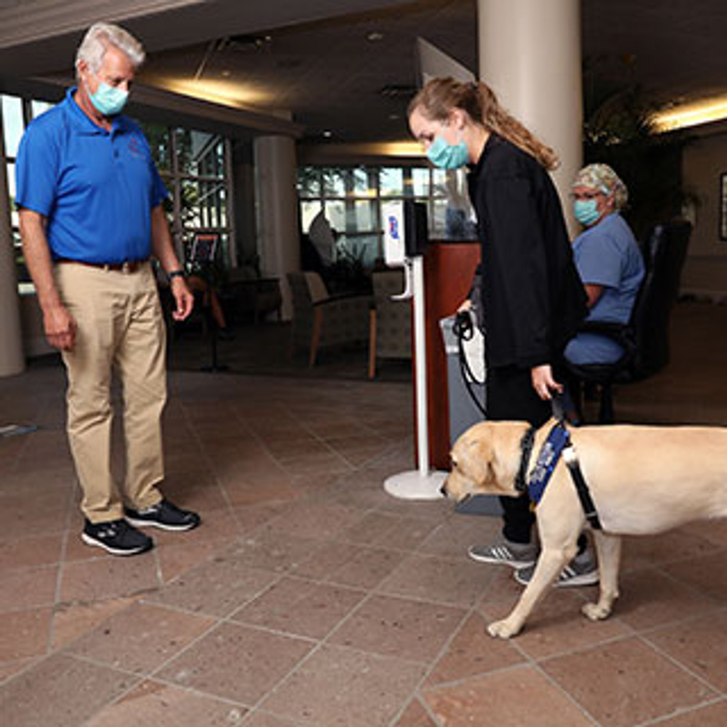 Buffy the dog being walked through the lobby of HCA Florida Sarasota Doctors Hospital