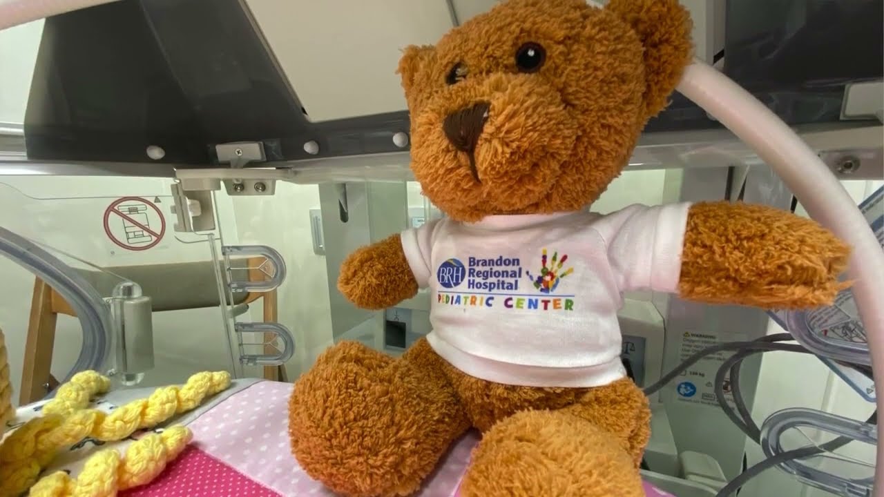 A Teddy bear at Brandon Hospitals NICU.